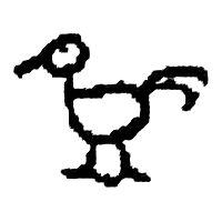bird, chicken, crow